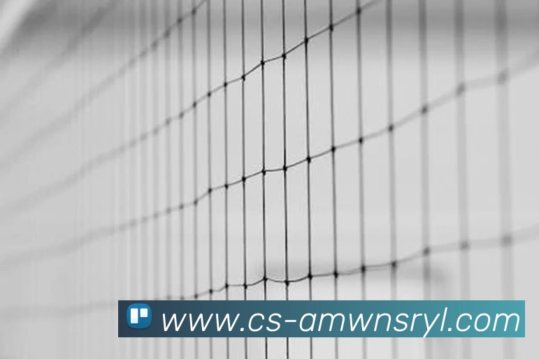 威尼斯人官网发展历程